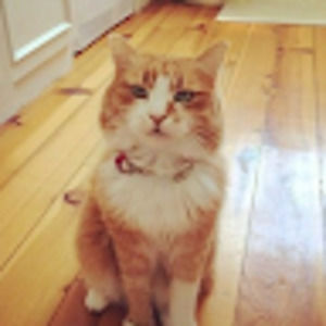 Meet your Posher, Sedy